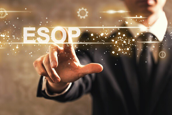 Cổ phiếu Esop: Nhân sự HaMo có cơ hội được tặng Esop theo đóng góp và kết quả công việc khi công ty IPO thành công, có quyền mua bán Esop nội bộ. 